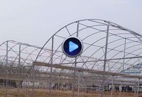 溫室連棟大棚視頻拍攝