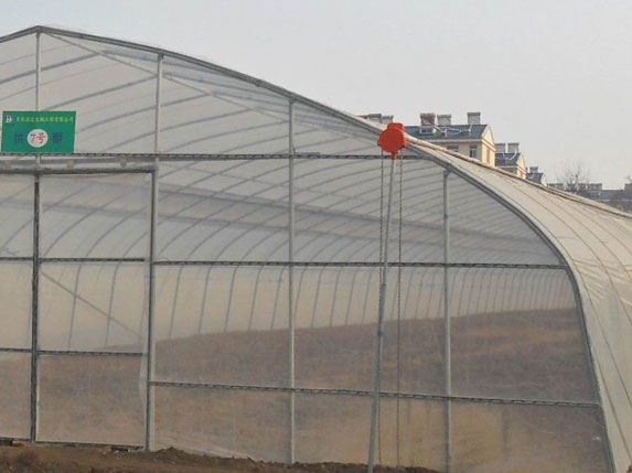 育苗大棚