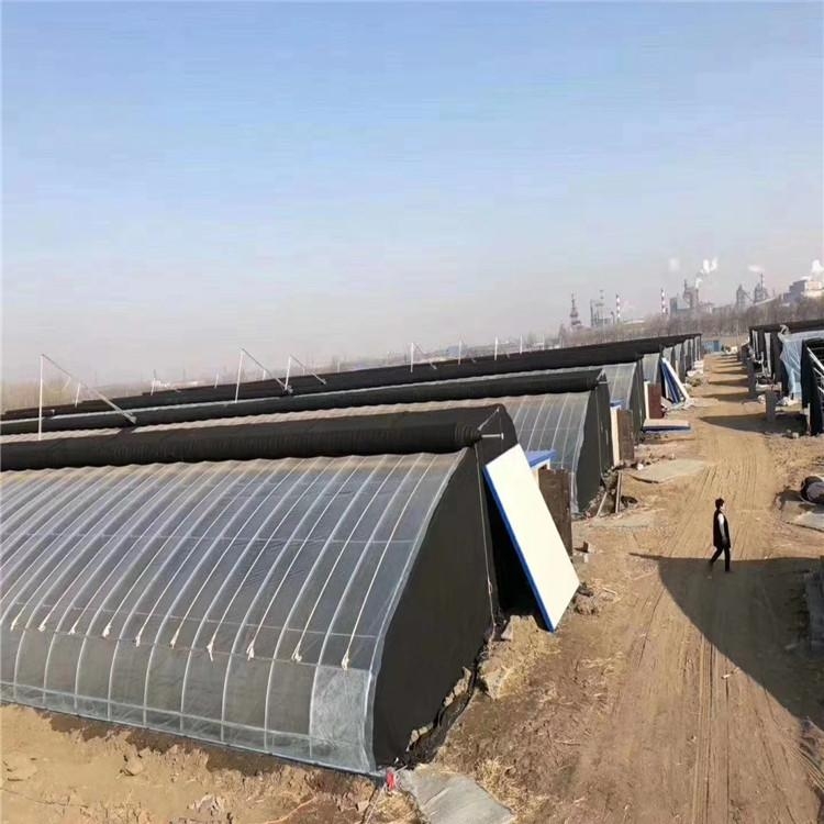 溫室大棚管圖片 溫室大棚管圖片